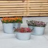 Woodside Vintage Galvanised Steel Garden & Home Flower Planter Tubs, Pack Of 3 -Outdoor Living Shop 0N4DLNMWQJA