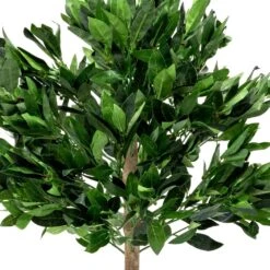 Woodside Artificial Topiary Bay Leaf Tree 4ft Indoor Outdoor Plant (pack Of 2) -Outdoor Living Shop BMY25IKWGGH