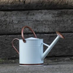 Woodside 9L Metal Garden And Plant Watering Can With Rose -Outdoor Living Shop BS5JS4QXIJW