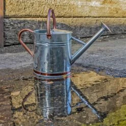 Woodside 9L Metal Garden And Plant Watering Can With Rose -Outdoor Living Shop BZ2SPSLAIL0
