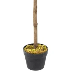 Woodside Artificial Topiary Bay Leaf Tree 4ft Indoor Outdoor Plant (pack Of 2) -Outdoor Living Shop EEHNEM0PZSM