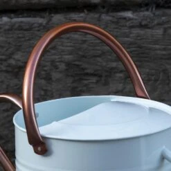 Woodside 9L Metal Garden And Plant Watering Can With Rose -Outdoor Living Shop KDNY2WSPJDJ