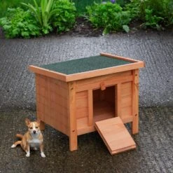 Woodside Wooden Animal Shelter, Hibernation House For Hedgehogs/Guinea Pigs Etc -Outdoor Living Shop LLJSFHSVSY4