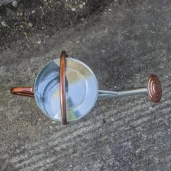 Woodside 9L Metal Garden And Plant Watering Can With Rose -Outdoor Living Shop TOVNEBTSH0F