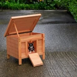 Woodside Wooden Animal Shelter, Hibernation House For Hedgehogs/Guinea Pigs Etc -Outdoor Living Shop UWKZ20E4G2E