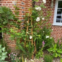 Woodside Wooden Garden Obelisk Pyramid Plant Support Trellis Climbing Frame 11 Woodside Wooden Garden Obelisk Pyramid Plant Support Trellis Climbing Frame -Outdoor Living Shop X1AJWXYTNCO