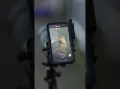 Woodside Waterproof Hunting/Photography BAK4 20-60x80 Spotting Scope + Accessories -Outdoor Living Shop hqdefault 3 2